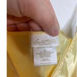 New Vintage 2000s y2k yellow handpainted butterfly yellow rose babydoll lingerie Size XL Photo 4