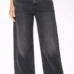 Levi's Levi’s Low Loose Jeans Tech Storm Black Wash Women’s Size 30 Wide Leg High Rise Photo 0