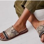 Free People  Saturaday Snake Strappy Leather Flat Sandals 41/10 Photo 1