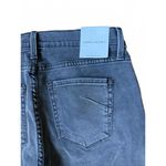 James Jeans New Gray Twiggy Ankle Jeans, size 32 (runs small) Photo 2