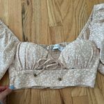 Petal and Pup  Cropped Top S Photo 2