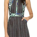 BCBGMAXAZRIA  Christalle Dress Size 2 Sleeveless Mini A-Line Pinstripe Palm Print Photo 0