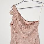 Reiss  Mena one shoulder blush crochet lace dress size 8 Photo 98