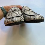 Circus by Sam Edelman  Hal Snake Print Women’s Mule Flats Size 8.5 Photo 6