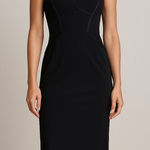 Jason Wu GREY Corset Style Midi Dress NWOT Sz 4 Photo 0