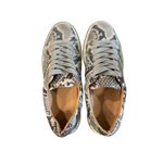 Frye Ivy Low Lace 7184 Snakeskin Gray Leather Lifestyle Sneakers Size 7M Photo 5