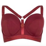 Gabi Fresh Wine Strappy Bra Red Size undefined Photo 0