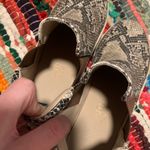 Coconuts by Matisse Snakeskin high top Sneakers Photo 5