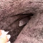 Tory Burch  Brown Shearling Wedge Boots Photo 9