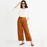 Madewell Double Front Pleated Wide-Leg Crop Pants in Burnt Sienna Size 2 Photo 2