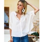 Tuckernuck India Collection Emerson Fry Mandarin Collar Salt Swiss Dot Organic Top Photo 1