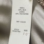 Adrianna Papell  Pewter Silk Maxi Skirt Photo 2