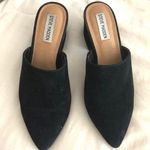 Steve Madden Perfect  Velvet Mules Photo 0