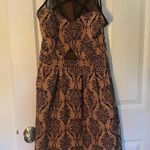 Enfocus Studio Dress Photo 0