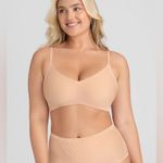 HoneyLove Silhouette Bra Size 1X Photo 3