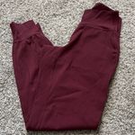 Lululemon Align Joggers *Full Length size 2 Photo 0