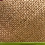 Lilly Pulitzer Straw and Cotton Woven Small Tote Photo 5