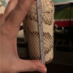 Franco Sarto EUC  Womens Palma Animal Print Pumps Dress Block Heels Shoes 7 M Photo 8