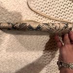 Lodis Tan and Brown Snake Print Women's Crossbody Bag Photo 11