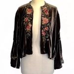 Johnny Was Britton heavily embroidered velvet jacket NWT RARE (oversized) Photo 5