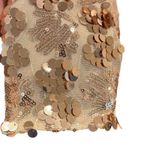 NYE Champagne, Rose Gold Sequin V Photo 7