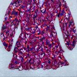 Parker Marengo Silk Floral Guava Blooms Dress size 2 Photo 5