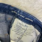 American Eagle Curvy High Rise Jeggings Jeans Size 10 Short Photo 2