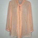 Massimo Dutti  Studio Sheer Blouse Pink peach size medium NWT Pussybow tie front Photo 0
