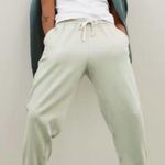 Everlane NWOT  organic cotton green joggers sweatpants small Photo 0