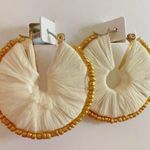 BaubleBar  loop’s earrings Photo 1