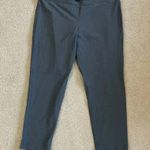 Eileen Fisher Gray Cropped Leggings Mid Rise Pull On Sports Lounge Size XL Photo 0