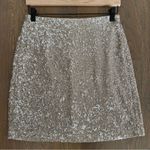 ZARA Basic Sequin Tube Pencil A-Line Mini Skirt Metallic Silver Rose Size Medium Photo 4