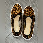 Fever Sole Leopard Print Slip Photo 6