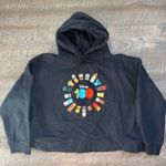 Disney  100 Unified Characters Pullover Hoodie Cropped Size XL Photo 0