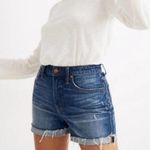 Madewell NWT High-Rise Denim Shorts in Glenoaks Wash: Cutoff Edition 31 Photo 3