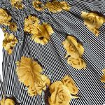 New Glory  Black And White Striped Bell Sleeve Floral Blouse | Size Large Photo 5