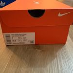 Nike Rival Sprint Spikes Photo 8