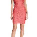 Adrianna Papell  Floral Lace Sleeveless V-Neck Dress Size 8 Coral Pink Photo 0