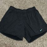 Nike Dri-Fit Running Shorts Photo 0