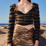 ZARA Corsetry Pattern Tulle Crop Top Woman's Long Sleeve Photo 0