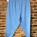Tultex NWT  Blue Elastic Waist Pull-On Jogger Sweatpants Pants Women's Size 2X Photo 3