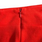 Ashley Stewart Skirt Photo 2