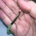 Beaded Inspirational Quote Necklace/bracelet Photo 8