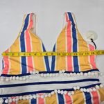 Tularosa Evia One Piece in Seventies Stripe Photo 10