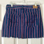 American Eagle Denim Mini Skirt with Stripes Photo 1
