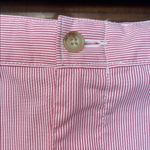 Polo Ralph Lauren pinstripe Pink Women's Shorts Size 14 Photo 1