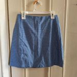 Brandy Melville Skirt Photo 2