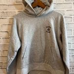 Alpine Design NWT! Women’s  buttery soft gray heather hooded sweatshirt Large Photo 0