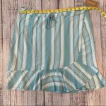 Patagonia Blue and White Striped Skirt Photo 3