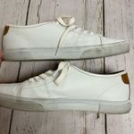 Frye  Gia Low Lace Sneaker Photo 5